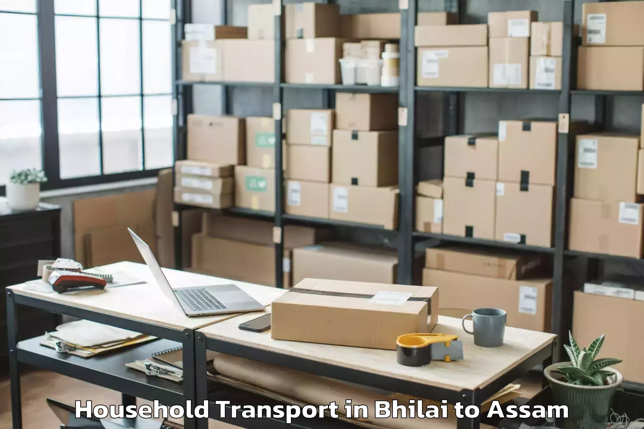 Bhilai to Assam University Silchar Household Transport Booking